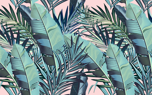 Summer Collection